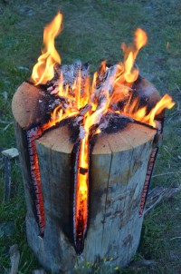 scandanavian-style log braziers